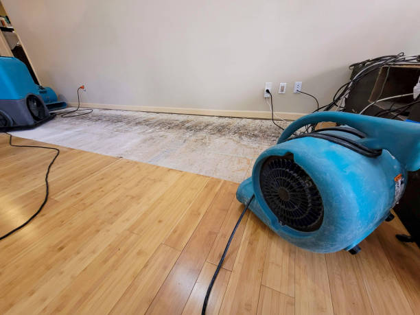 Professional Basement Flood Cleanup technician working in Vidal, CA